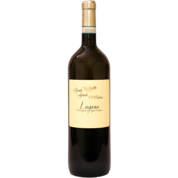 Zenato Lugana Santa Cristina Vigneto Massoni